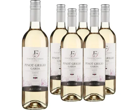 Garda DOC Pinot Grigio Ramato Fior di Settembre 6x 75cl (2024) – Roséwein, Italien (0.75l)