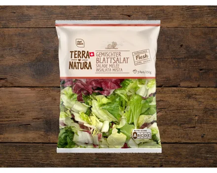 Gemischter Blattsalat