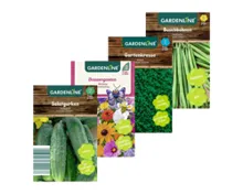 Gemüse- Erbsen- und Bohnensaatgut