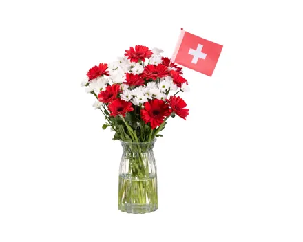 Germini-Santini-Strauss mit CH-Fahne