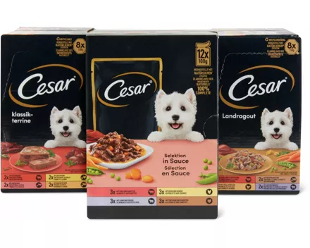 Gesamtes Cesar Hundefutter-Sortiment