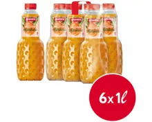 Granini Walliser Aprikose 6x1l