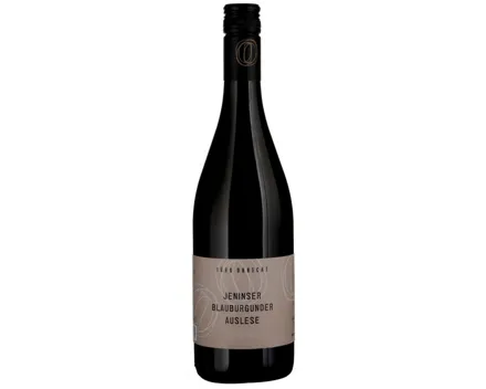 Graubünden AOC Jeninser Pinot Noir Jürg Obrecht (2022) – Rotwein, Schweiz (0.75l)