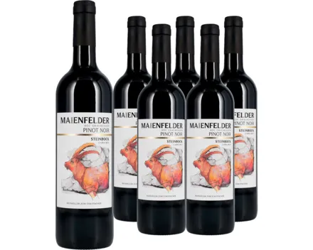 Graubünden AOC Maienfelder Pinot Noir Steinbock 6x 75cl (2024) – Rotwein, Schweiz (0.75l)