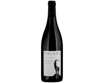Graubünden AOC Malans Pinot Noir Bündner Banner (2023) – Rotwein, Schweiz (0.75l)