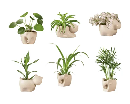 Grün-Mix in Design Tier Keramik