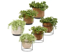 Grünpflanze in Holzkeramik mini