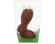Halba Hase mit langen Ohren