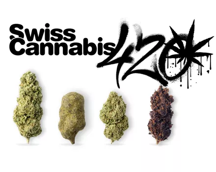 HAPPY 420! Erhalte 42% Rabatt auf Schweizer CBD