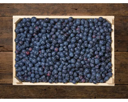 Heidelbeeren