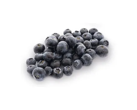 Heidelbeeren Spezial