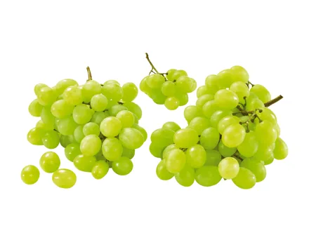 Helle kernlose Trauben