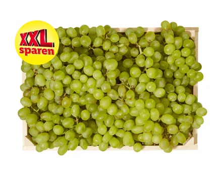 Helle Trauben XXL