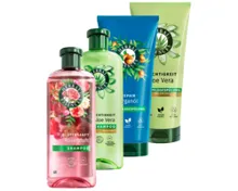 HERBAL ESSENCES Shampoo/Spülung