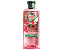 Herbal Essences Shampoo/Spülung - Rose Shampoo