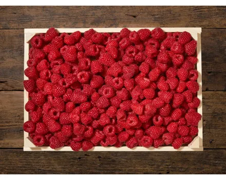 Himbeeren