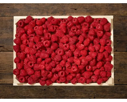 Himbeeren