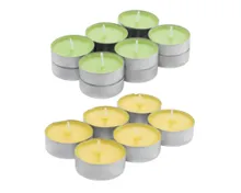 HOME CREATION Citronella Teelicht Kerzen Mix