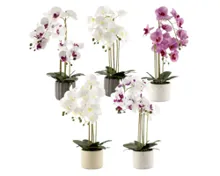 HOME CREATION Naturgetreue Orchidee