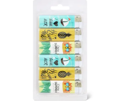 Home Feuerzeuge, 6er-Pack