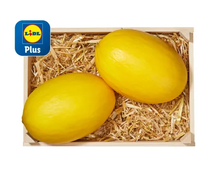 Honigmelone