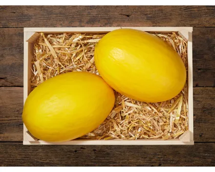 Honigmelonen