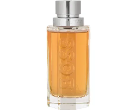 Hugo Boss The Scent Homme, 100 ml