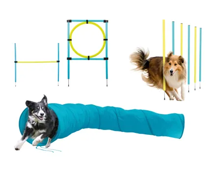 Hunde Agility-Zubehör
