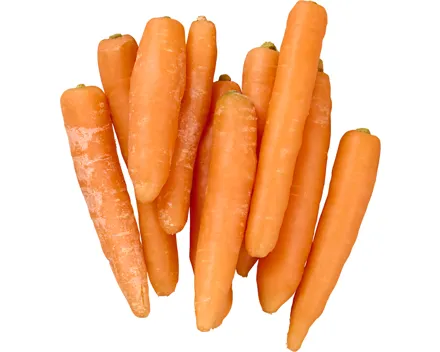 IP-SUISSE Karotten