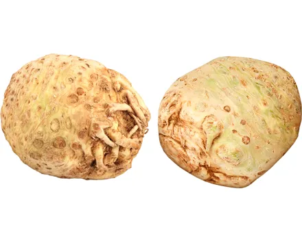 IP-SUISSE Knollensellerie