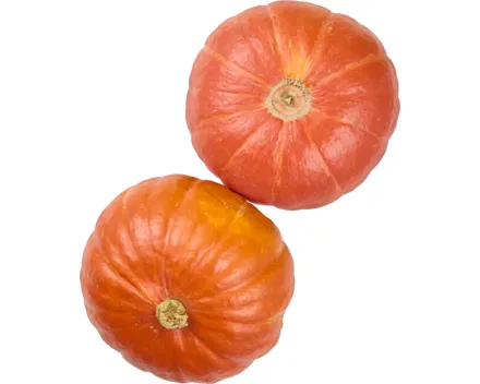 IP-SUISSE Kürbis Hokkaido