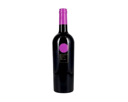 Irpinia Aglianico dal Re Feudi di San Gregorio (2016) – Rotwein, Italien (0.75l)