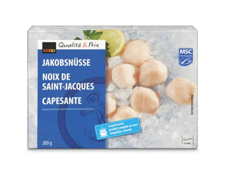 Jakobsnüsse MSC