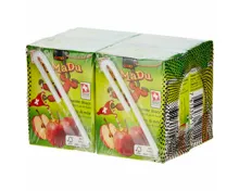 JaMaDu Apfelsaft 4x20cl