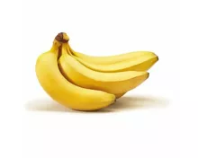 JaMaDu Bio Bananen Fairtrade