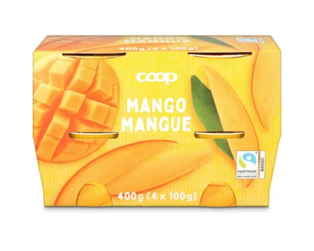 Joghurt FSI Mango 4x100g
