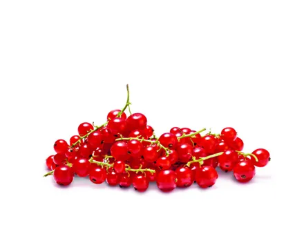 Johannisbeeren