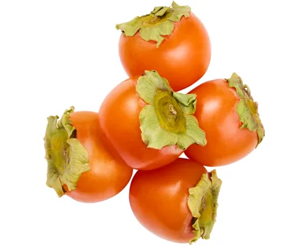 Kaki