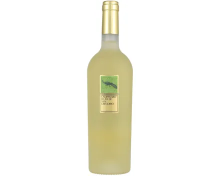Kampanien DOC Feudi di San Gregorio Campanaro (2018) – Rotwein, Italien (0.75l)