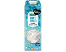Karma Bio Reisdrink Nature
