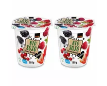 Karma Bio Sojo Waldbeeren 2x180g