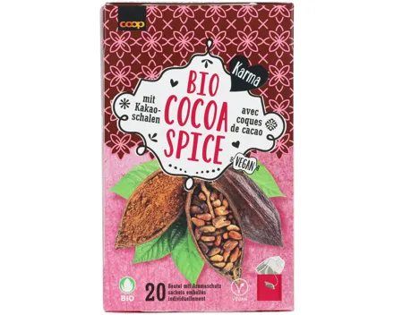 Karma Bio Tee Chocolate Spice 20 Beutel
