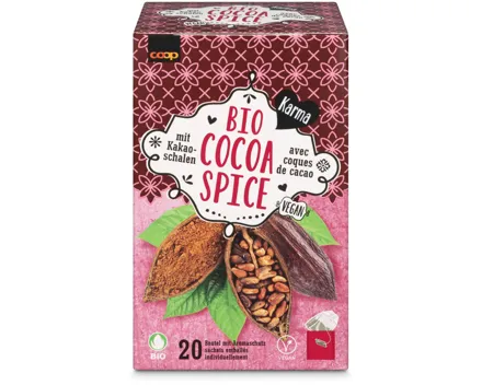Karma Bio Tee Chocolate Spice 20 Beutel