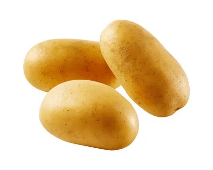 Kartoffeln festkochend