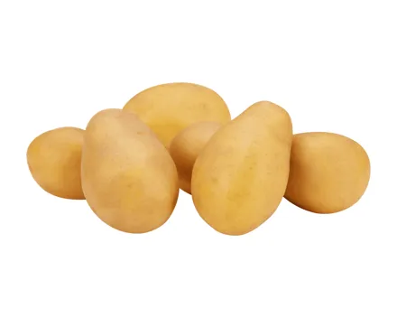 Kartoffeln mehligkochend