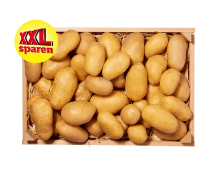 Kartoffeln XXL