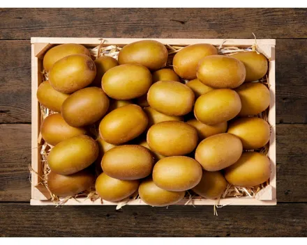 Kiwi Gold (Aktion nur im Tessin gültig)