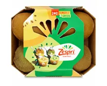 Kiwi mix 4 Stück