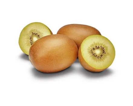 Kiwi SunGold 3 Stück