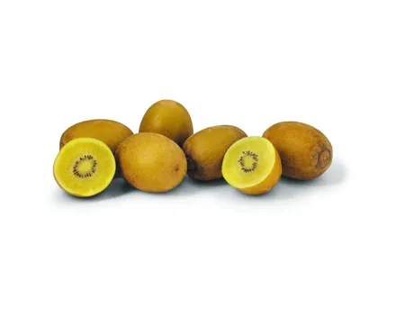Kiwi Zespri Sungold 6 Stück